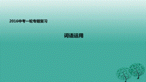 中考語文一輪專題復(fù)習(xí) 詞語運(yùn)用課件