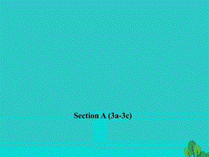 九年級(jí)英語(yǔ)全冊(cè) Unit 7 Teenagers should be allowed to choose Section A（3a-3c）習(xí)題課件 （新版）人教新目標(biāo)版