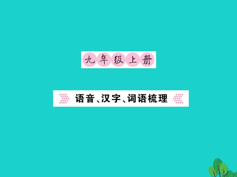 中考语文 九上 语音、汉字、词语梳理课件1_第1页