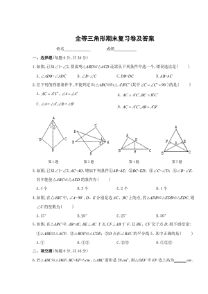 人教版數(shù)學(xué)八年級(jí)上冊(cè)同步練習(xí)第12章 全等三角形期末復(fù)習(xí)卷及答案