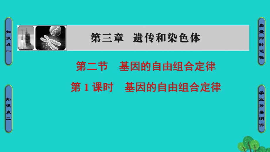 高中生物 第3章 遺傳和染色體 第2節(jié) 基因的自由組合定律（第1課時）課件 蘇教版必修2_第1頁