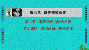 高中生物 第3章 遺傳和染色體 第2節(jié) 基因的自由組合定律（第1課時）課件 蘇教版必修2