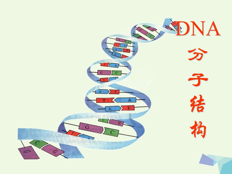 高中生物 3_2 DNA分子的结构说课课件 新人教版必修2_第1页