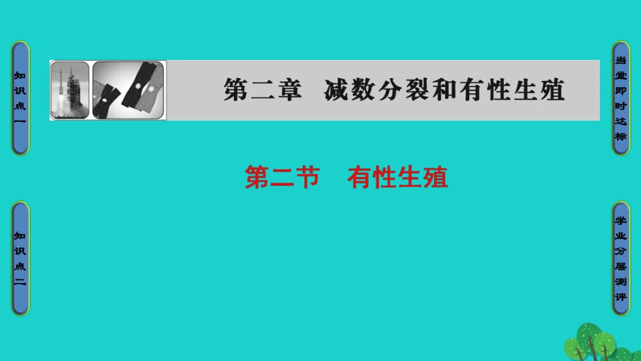 高中生物 第2章 減數(shù)分裂和有性生殖 第2節(jié) 有性生殖課件 蘇教版必修2_第1頁(yè)