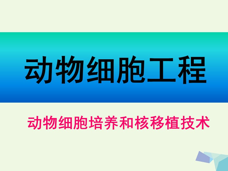 高中生物 動物細(xì)胞培養(yǎng)和核移植技術(shù)課件 新人教版選修31_第1頁