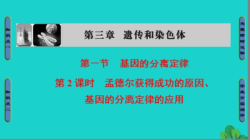 高中生物 第3章 遺傳和染色體 第1節(jié) 基因的分離定律（第2課時）孟德爾獲得成功的原因、基因的分離定律的應(yīng)用課件 蘇教版必修2_第1頁