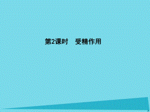 高中生物 第2章 第2課時 基因和染色體的關系 受精作用課件 新人教版必修2