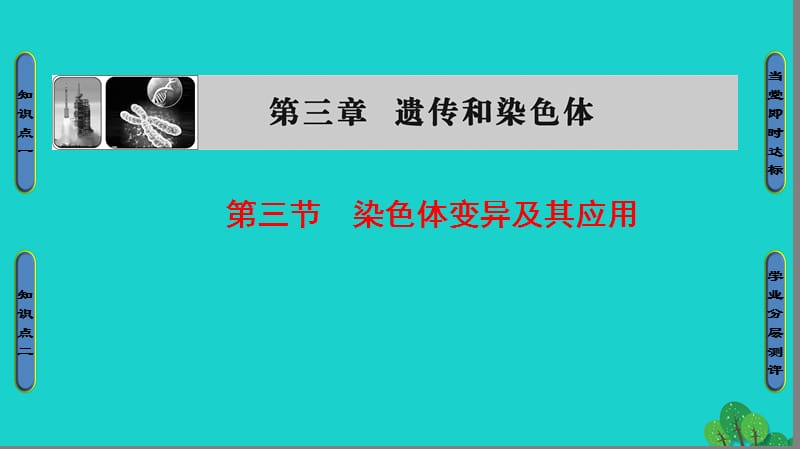 高中生物 第3章 遺傳和染色體 第3節(jié) 基因的自由組合定律課件 蘇教版必修2_第1頁