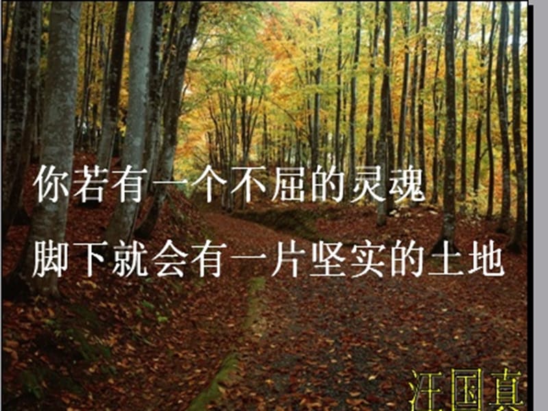 山東省郯城縣紅花鎮(zhèn)初級(jí)中學(xué)七年級(jí)語(yǔ)文上冊(cè) 17《走一步再走一步》課件 （新版）新人教版_第1頁(yè)