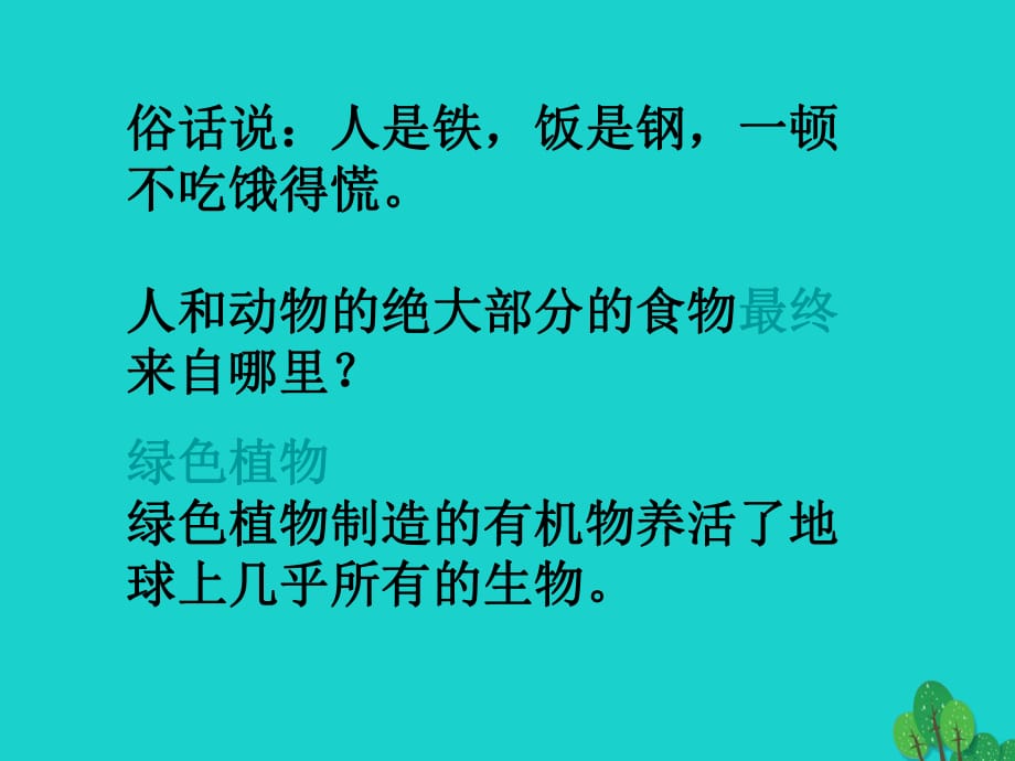 河南省郑州高新技术产业开发区实验中学七年级生物上册 第四章 绿色植物是生物圈中有机物的制造者课件2 （新版）新人教版_第1页