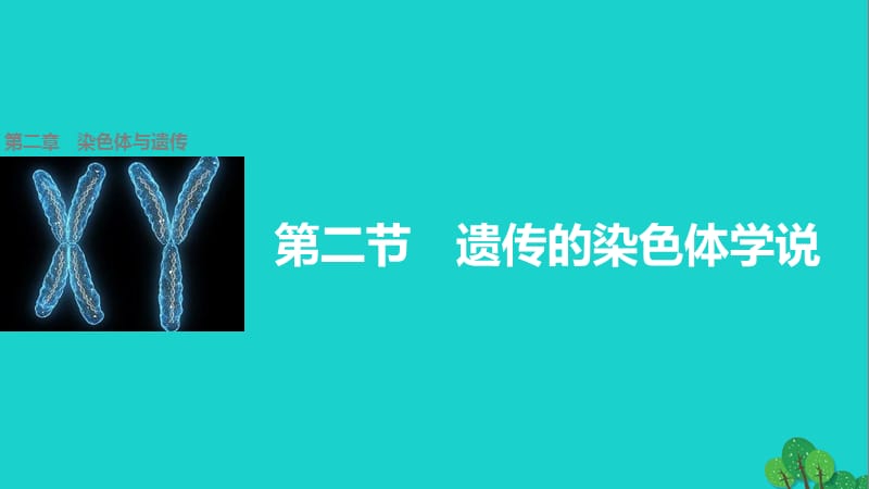 高中生物 第二章 第二節(jié) 遺傳的染色體學(xué)說課件 浙科版必修2_第1頁