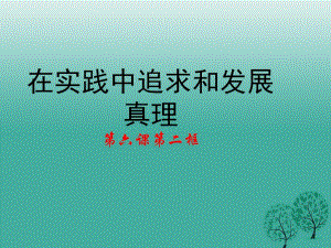 高中政治 第六課 第二框《在實(shí)踐中追求和發(fā)展真理》課件 新人教版必修41