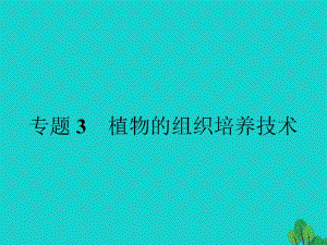 高中生物 專題3 植物的組織培養(yǎng)技術(shù) 課題1 菊花的組織培養(yǎng)課件 新人教版選修11