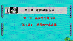 高中生物 第3章 遺傳和染色體 第1節(jié) 基因的分離定律（第1課時）基因的分離定律課件 蘇教版必修2