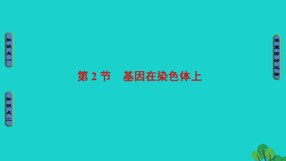 高中生物 第2章 基因和染色體的關系 第2節(jié) 基因在染色體上課件 新人教版必修2_第1頁