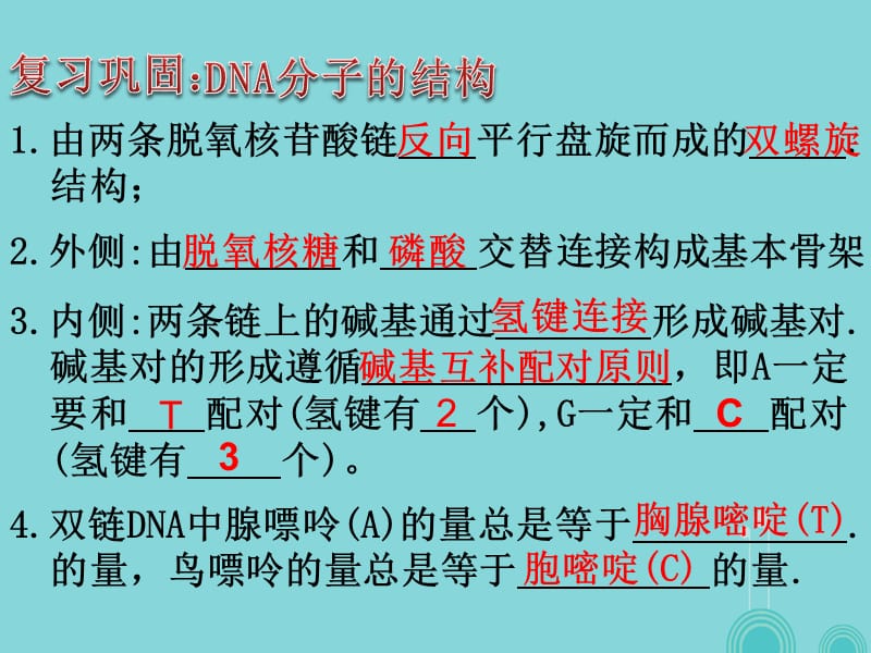高中生物 3_3 DNA的复制课件 新人教版必修21_第1页