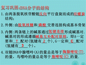 高中生物 3_3 DNA的复制课件 新人教版必修21