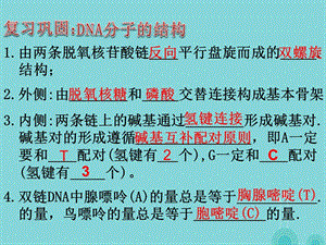 高中生物 3_3 DNA的復(fù)制課件 新人教版必修21