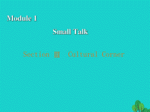 高中英語(yǔ) Module 1 Small Talk Section 3 Cultural Corner課件 外研版選修61