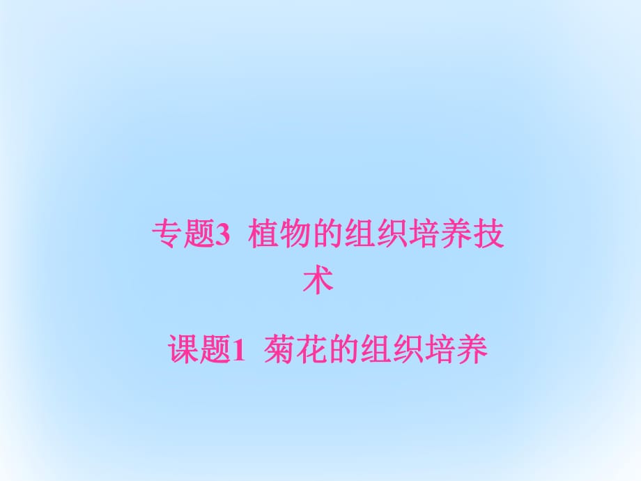 高中生物 专题3 植物的组织培养技术 课题1 菊花的组织培养课件 新人教版选修1 (2)_第1页