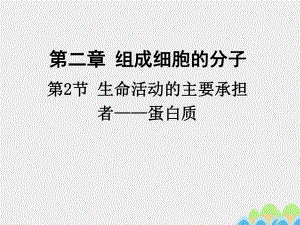 高中生物 2_2 生命活動(dòng)的主要承擔(dān)者——蛋白質(zhì)課件 新人教版必修11