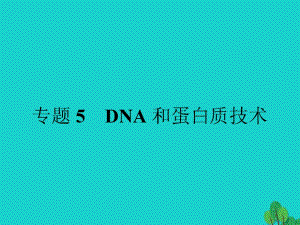 高中生物 專題5 DNA和蛋白質(zhì)技術(shù) 課題1 DNA的粗提取與鑒定課件 新人教版選修11