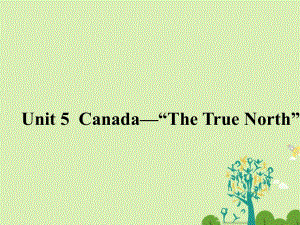 高中英語 Unit 5 Canada-“The True North”《Section Three》同課異構(gòu)課件2 新人教版必修3