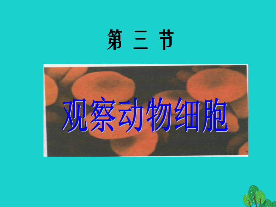 河南省郑州高新技术产业开发区实验中学七年级生物上册 2.1.3 观察动物细胞课件2 （新版）新人教版_第1页