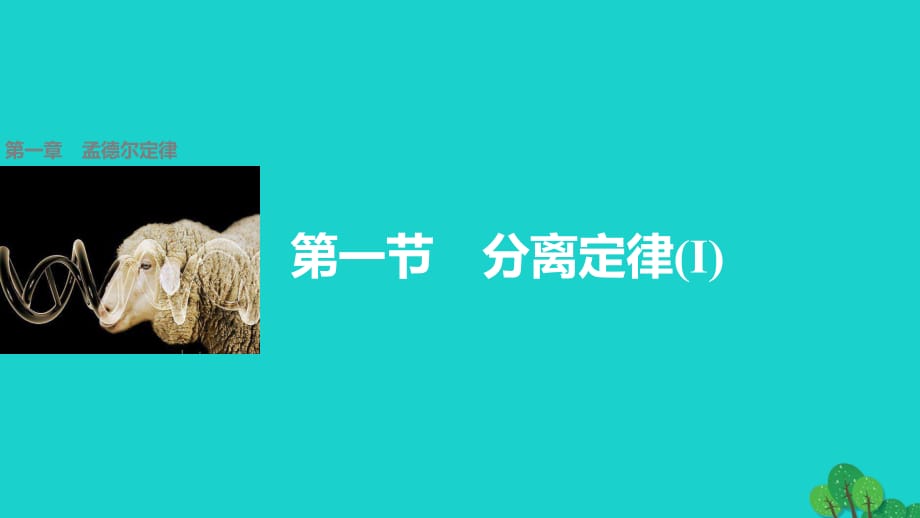 高中生物 第一章 第一節(jié) 分離定律課件1 浙科版必修2_第1頁