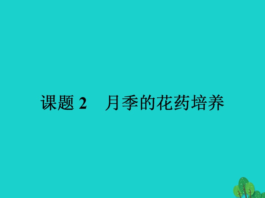 高中生物 專題3 植物的組織培養(yǎng)技術(shù) 課題2 月季的花藥培養(yǎng)課件 新人教版選修11_第1頁