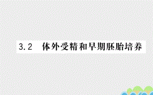 高中生物 3_2 體外受精和早期胚胎培養(yǎng)課件 新人教版選修3