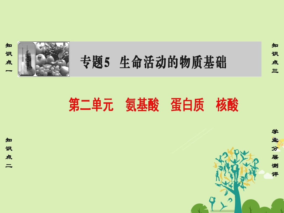 高中化學 專題5 生命活動的物質基礎 第2單元 氨基酸 蛋白質 核酸課件 蘇教版_第1頁