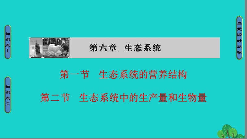 高中生物 第6章 生態(tài)系統(tǒng) 第1節(jié)、第2節(jié) 生態(tài)系統(tǒng)的營養(yǎng)結(jié)構(gòu)、生態(tài)系統(tǒng)中的生產(chǎn)量和生物量課件 浙科版必修3_第1頁