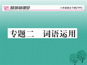 八年級語文下冊 專題復(fù)習(xí)二 詞語運(yùn)用課件 （新版）語文版