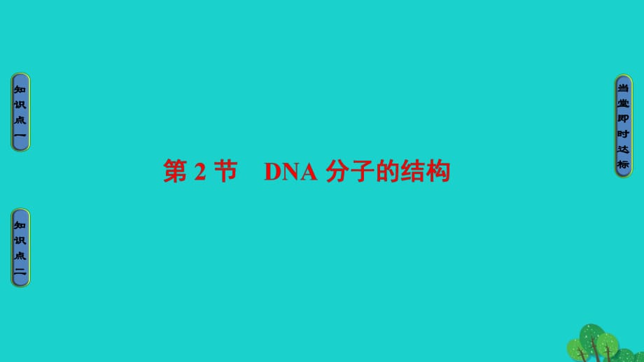 高中生物 第3章 基因的本質(zhì) 第2節(jié) DNA分子的結(jié)構(gòu)課件 新人教版必修2_第1頁