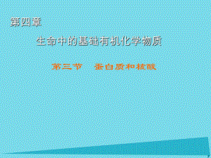 高中化學 第4章 第3節(jié) 蛋白質(zhì)和核酸課件 新人教版選修5