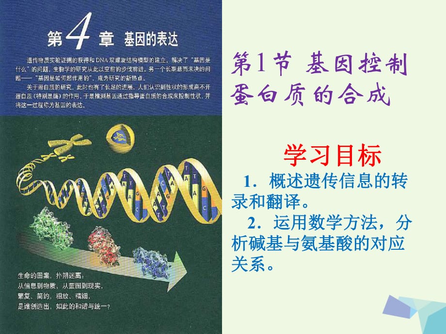 高中生物 4_1 基因指導(dǎo)蛋白質(zhì)的合成教學(xué)課件 新人教版必修21_第1頁(yè)