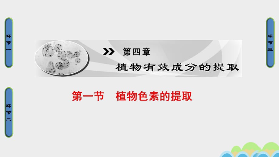 高中生物 第4章 植物有效成分的提取 第1節(jié) 植物色素的提取課件 中圖版選修1_第1頁