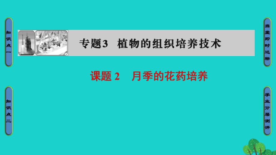 高中生物 專題3 植物的組織培養(yǎng)技術(shù) 課題2 月季的花藥培養(yǎng)課件 新人教版選修1_第1頁