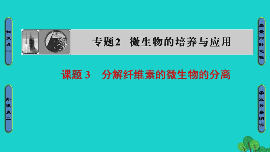 高中生物 专题2 微生物的培养与应用 课题3 分解纤维素的微生物的分离课件 新人教版选修1_第1页