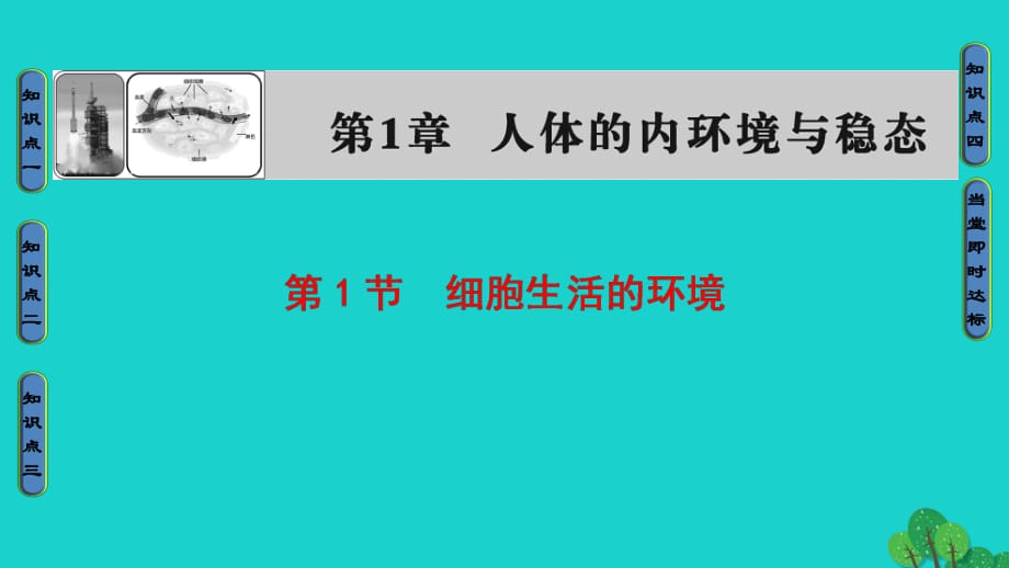 高中生物 第1章 人體的內(nèi)環(huán)境與穩(wěn)態(tài) 第1節(jié) 細胞生活的環(huán)境課件 新人教版必修3_第1頁