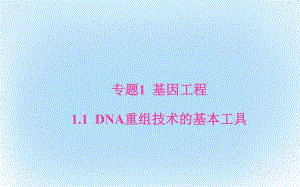 高中生物 專題1 基因工程 11_ DNA重組技術(shù)的基本工具課件 新人教版選修3