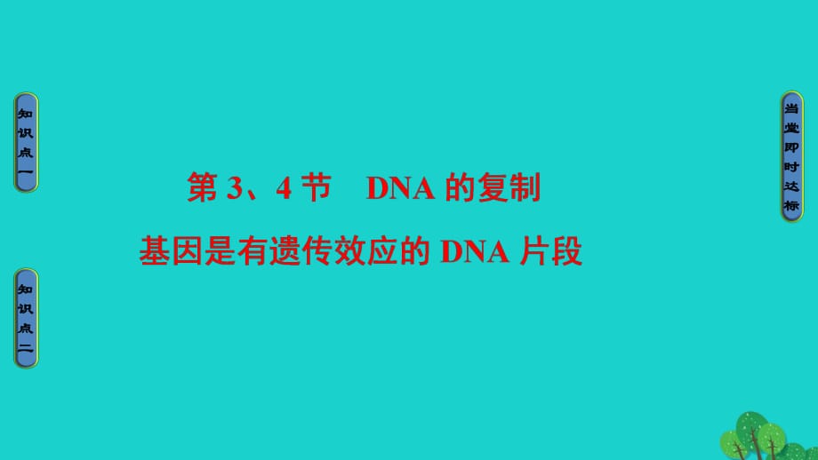 高中生物 第3章 基因的本质 第3节、第4节 DNA的复制、基因是有遗传效应的DNA片段课件 新人教版必修2_第1页