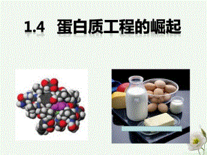 高中生物 1_4 蛋白質(zhì)工程的崛起課件 新人教版選修31