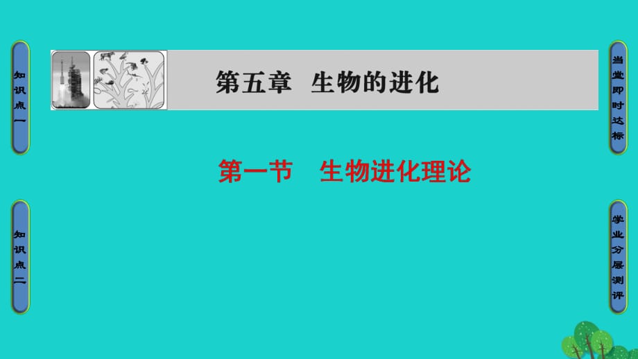 高中生物 第5章 生物的進(jìn)化 第1節(jié) 生物進(jìn)化理論課件 蘇教版必修2_第1頁(yè)