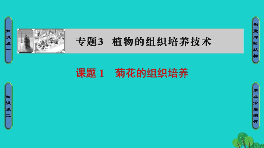 高中生物 專題3 植物的組織培養(yǎng)技術(shù) 課題1 菊花的組織培養(yǎng)課件 新人教版選修1_第1頁(yè)