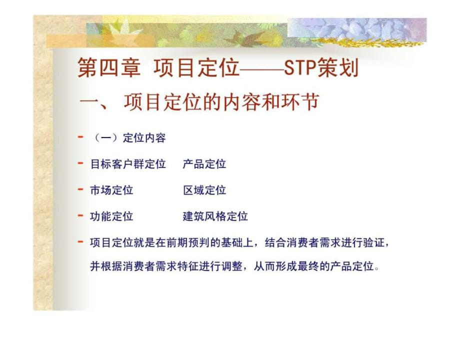 項(xiàng)目定位-stp策劃_第1頁