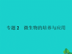 高中生物 專題2 微生物的培養(yǎng)與應(yīng)用 課題1 微生物的實驗室培養(yǎng)課件 新人教版選修11