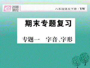 八年級語文下冊 專題復(fù)習(xí)一 字音、字形課件 （新版）語文版