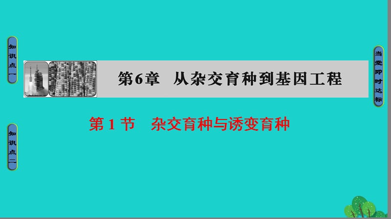 高中生物 第6章 從雜交育種到基因工程 第1節(jié) 雜交育種與誘變育種課件 新人教版必修2_第1頁